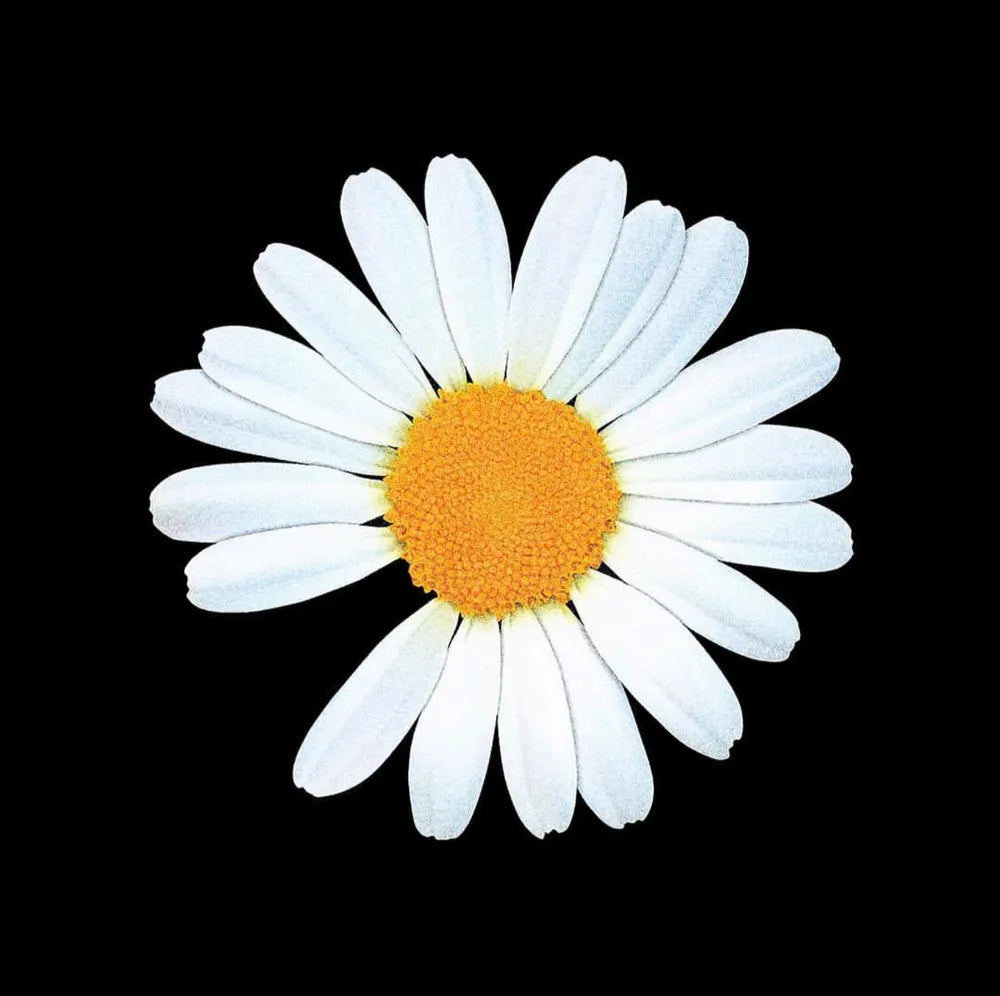 Missing-petal daisy logo representing PEACEMINUSONE by G-Dragon Collection Hong Kong on a black background.
