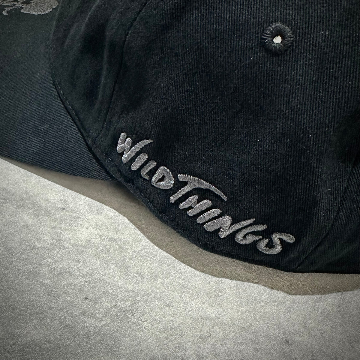 Wild Things x Mastermind World Tee Cap featuring embroidered logo on a black cap