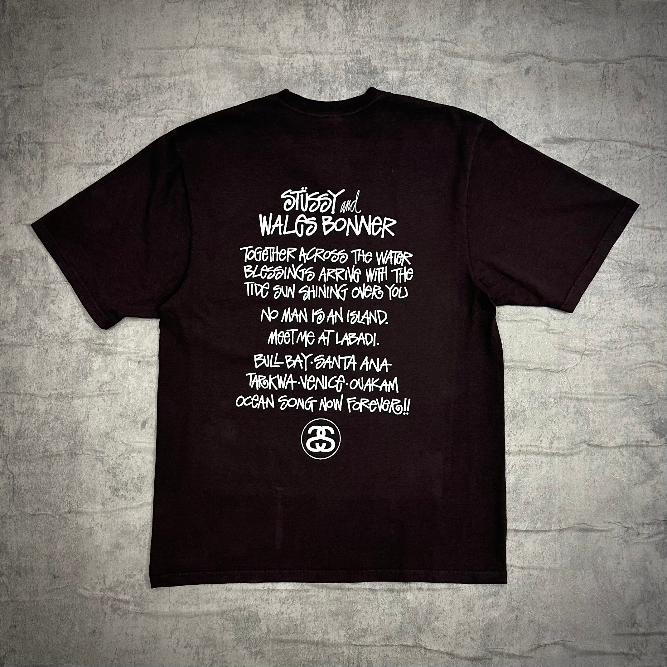 Stussy x Wales Bonner Ocean Song Tee  brown back